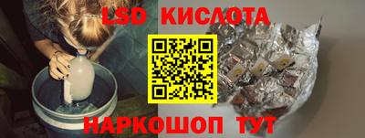 spice Гатчина