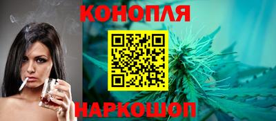 spice Гатчина