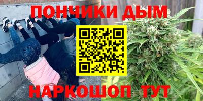 spice Гатчина