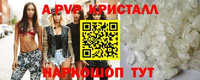 spice Гатчина