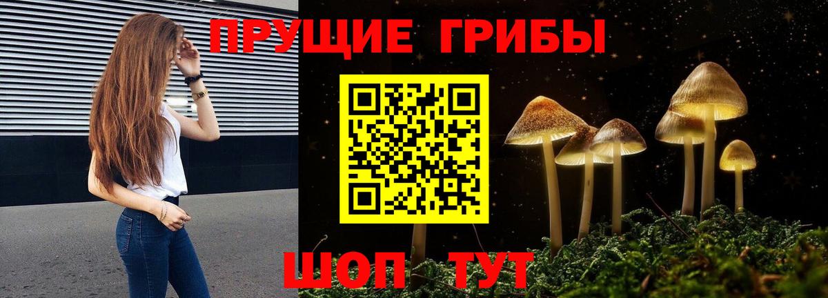 Псилоцибиновые грибы мицелий  как найти закладки  Псилоцибиновые грибы ЛСД  Москва  Вход с VPN 